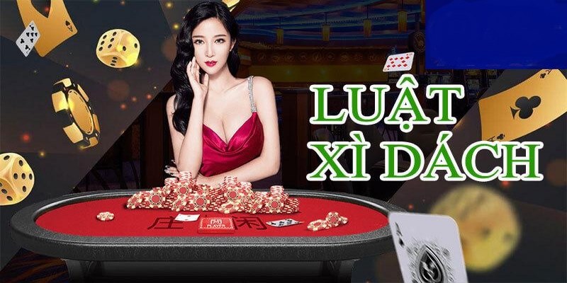 Luật chơi xì dách và quy tắc rút bài